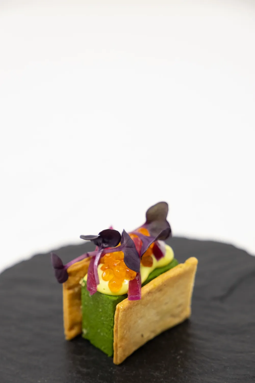 Cheesecake scomposta con cremoso alle erbette di campo maionese di porro e cipolla in agro 13 1