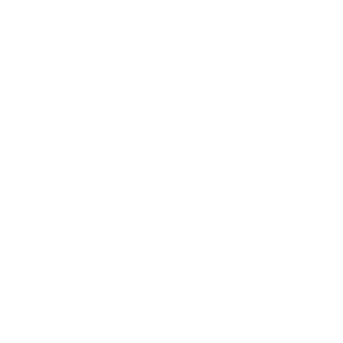 logo partesa bianco capodannoautodromo